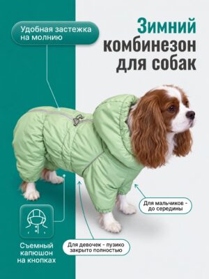 Зимний комбинезон 26/27 ККЧС (кавалер Кинг Чарльз спаниель), средние породы собак
