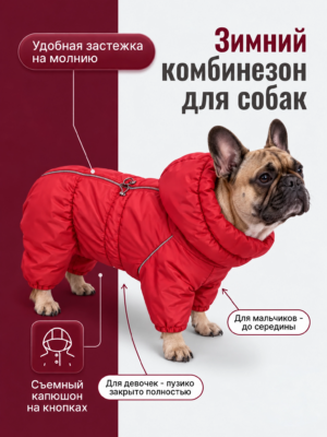Зимний комбинезон 26/27 французский бульдог/мопс (средние породы собак)