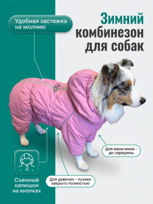 Зимний комбинезон 26/27 аусси/бордер-колли (крупные породы собак)